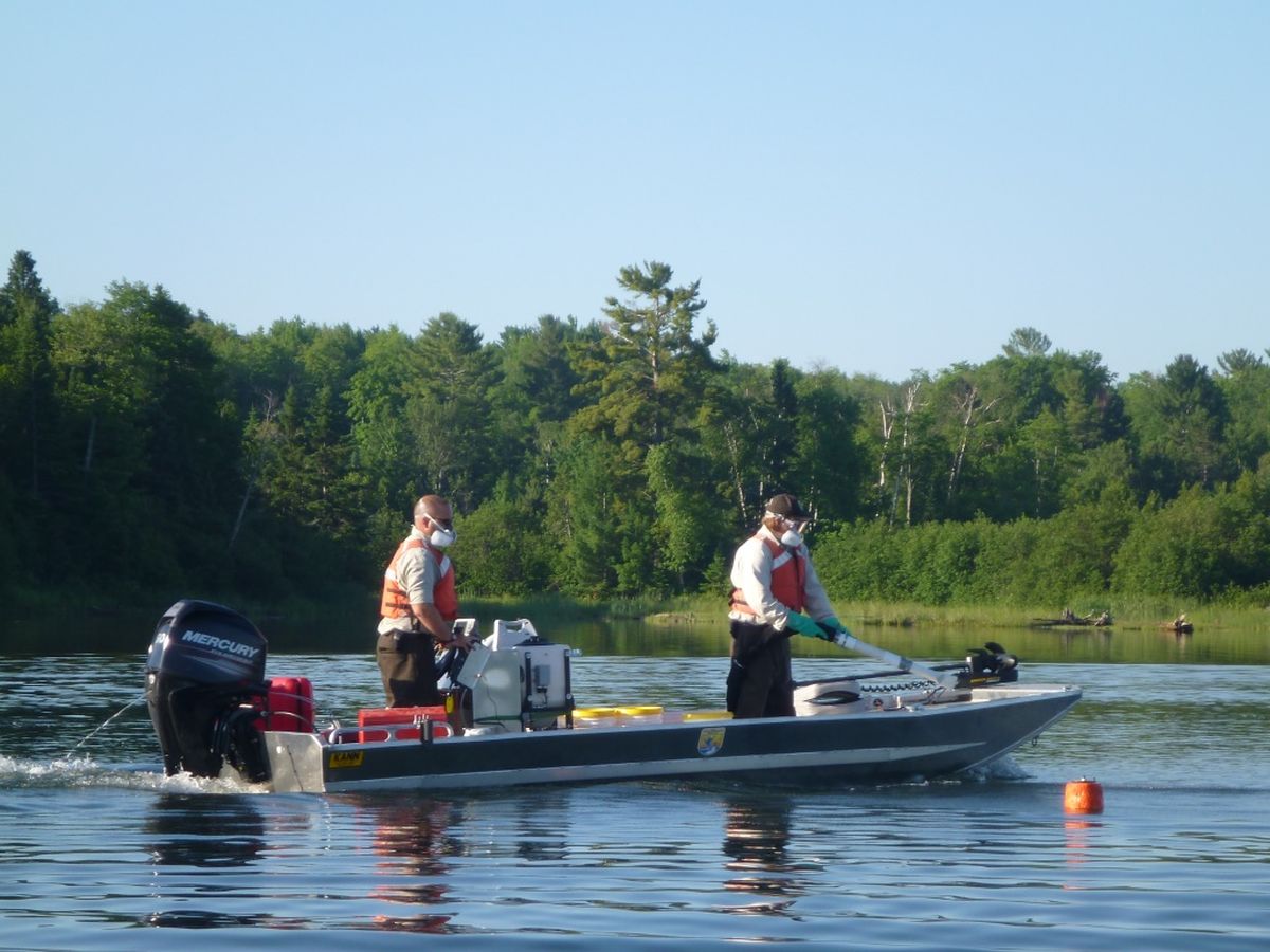 Two workers in life jackets and masks on a small boat treating the water near a forested shore