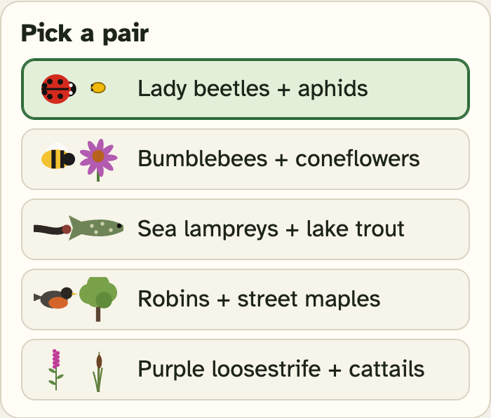The Pick a pair box in the lab, with five buttons: Lady beetles + aphids, Bumblebees + coneflowers, Sea lampreys + lake trout, Robins + street maples, Purple loosestrife + cattails