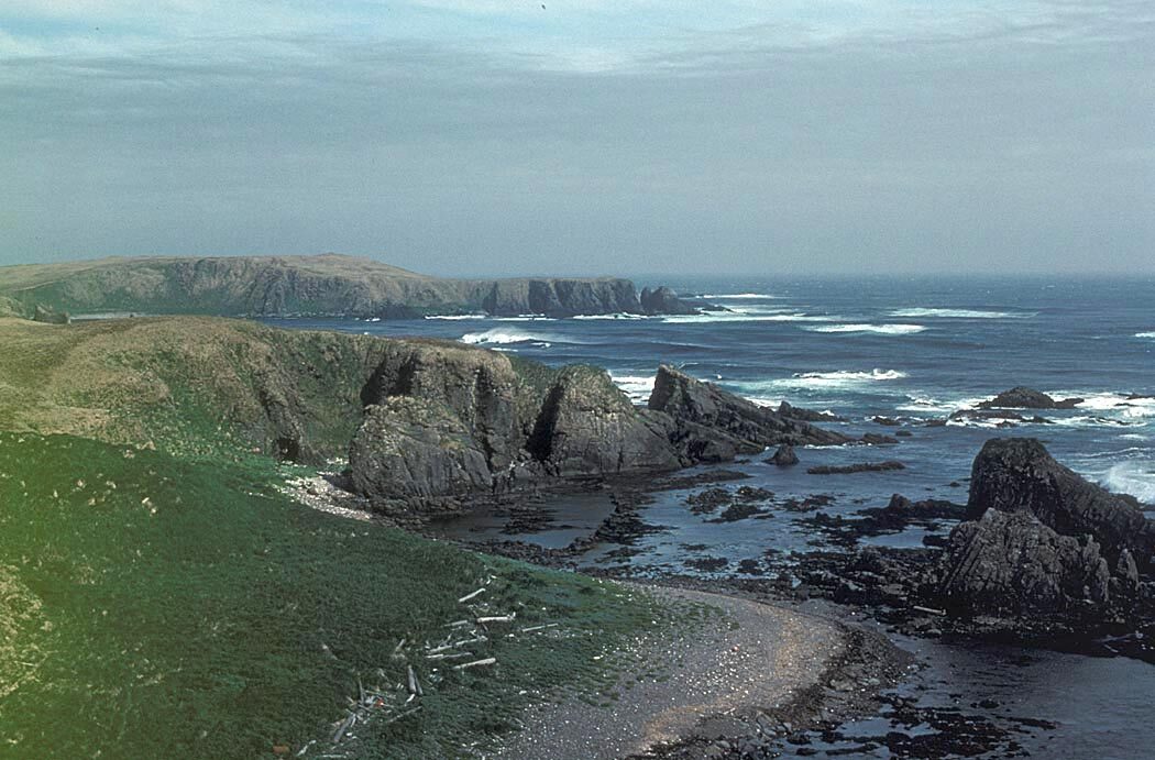 A rocky green island coast with waves, in the Aleutian Islands of Alaska