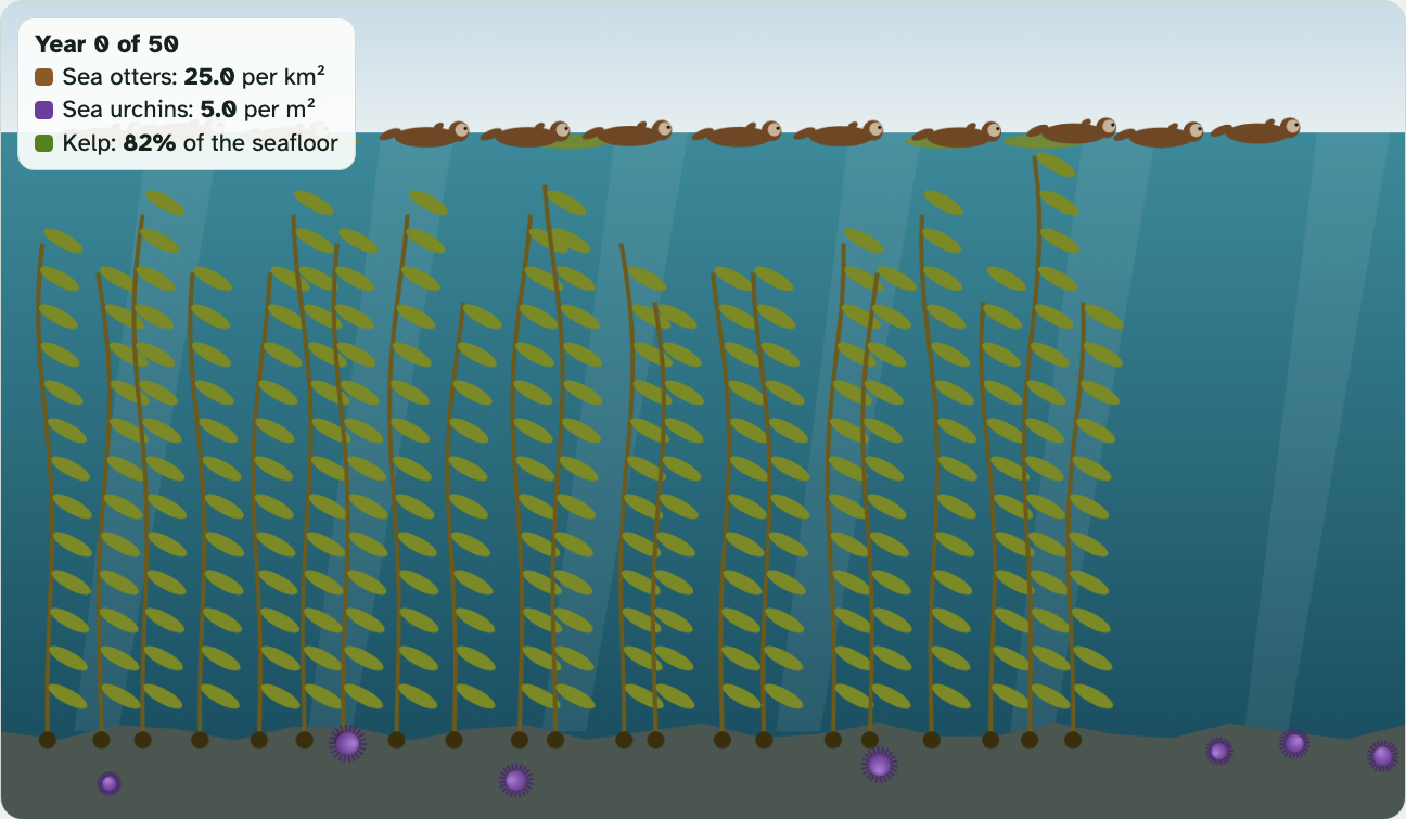 The model coast at year 0: otters floating at the surface, tall kelp, and a few urchins on the seafloor