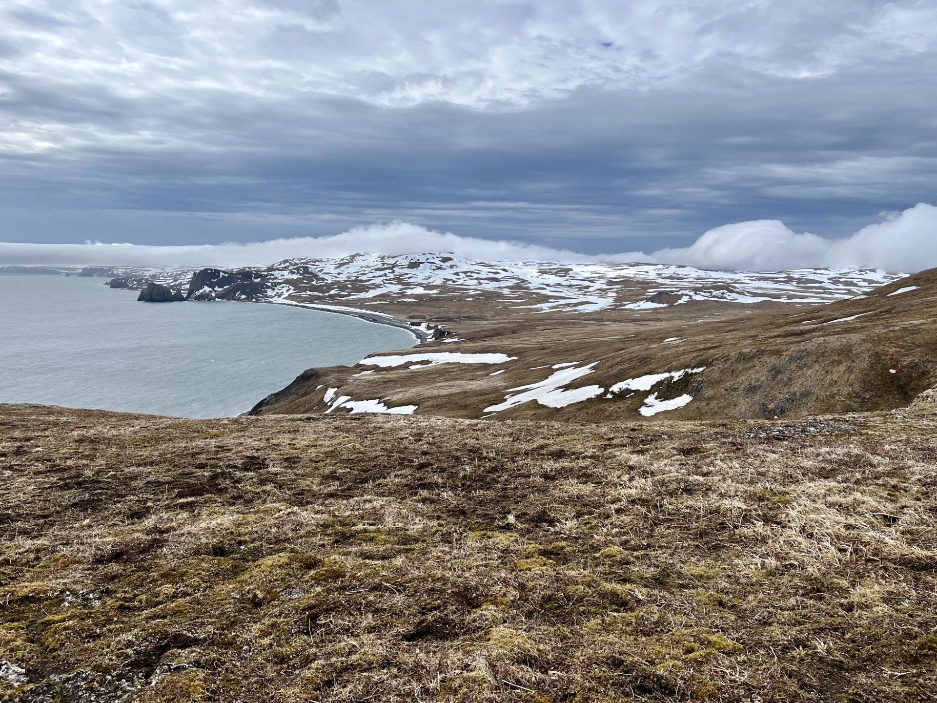 Brown treeless tundra sloping down to a grey sea, with snow patches on low hills, on St. Matthew Island