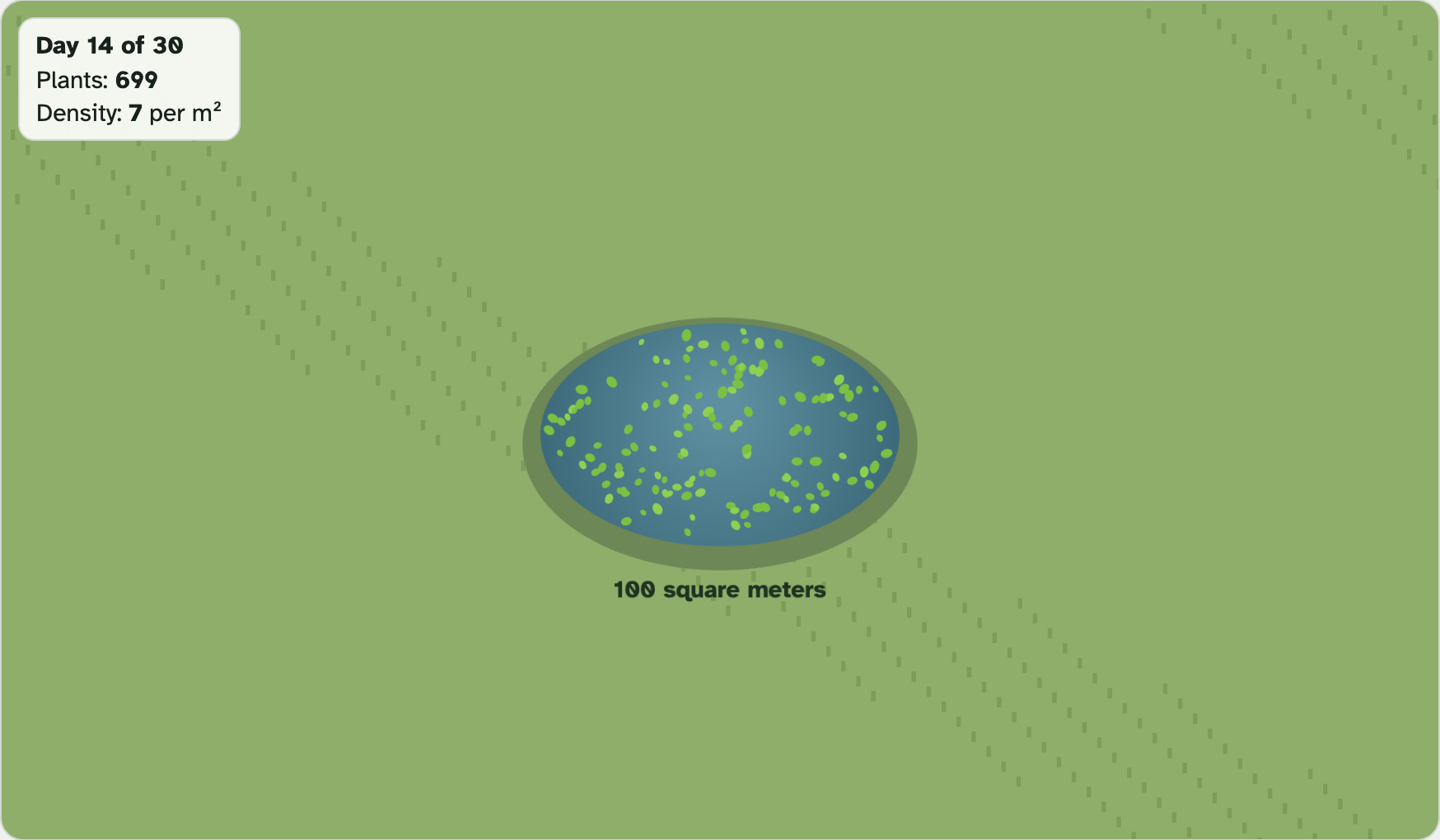 A small round pond in the lab on day 14, partly covered with green dots of duckweed