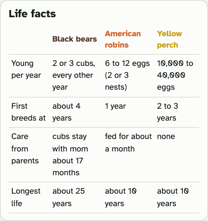 The Life facts box in the lab: a table for black bears, American robins and yellow perch with rows for young per year, first breeds at, care from parents and longest life