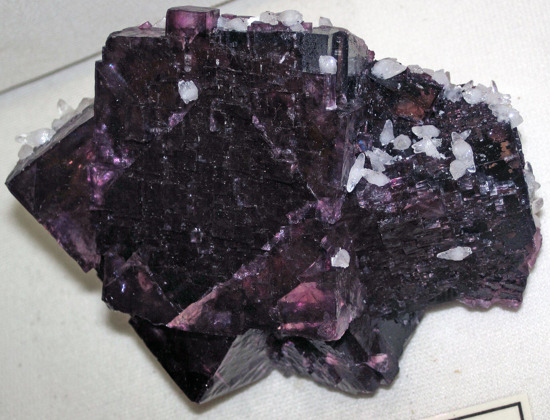 A large cluster of dark purple, cube-shaped fluorite crystals
