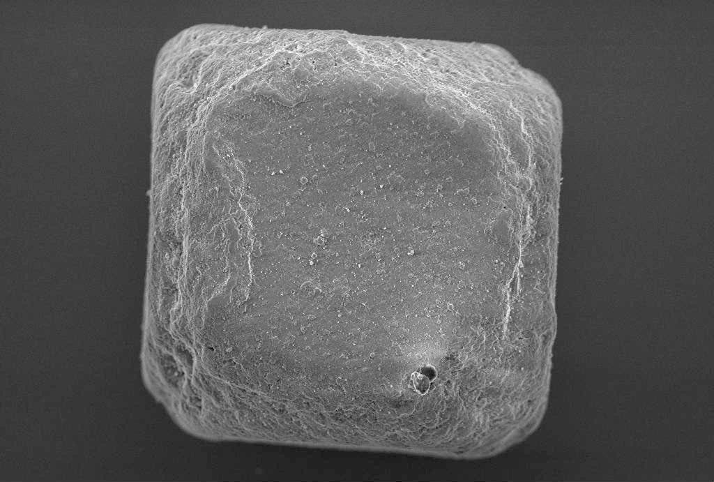 One grain of table salt seen through an electron microscope. It is a cube with rounded edges.