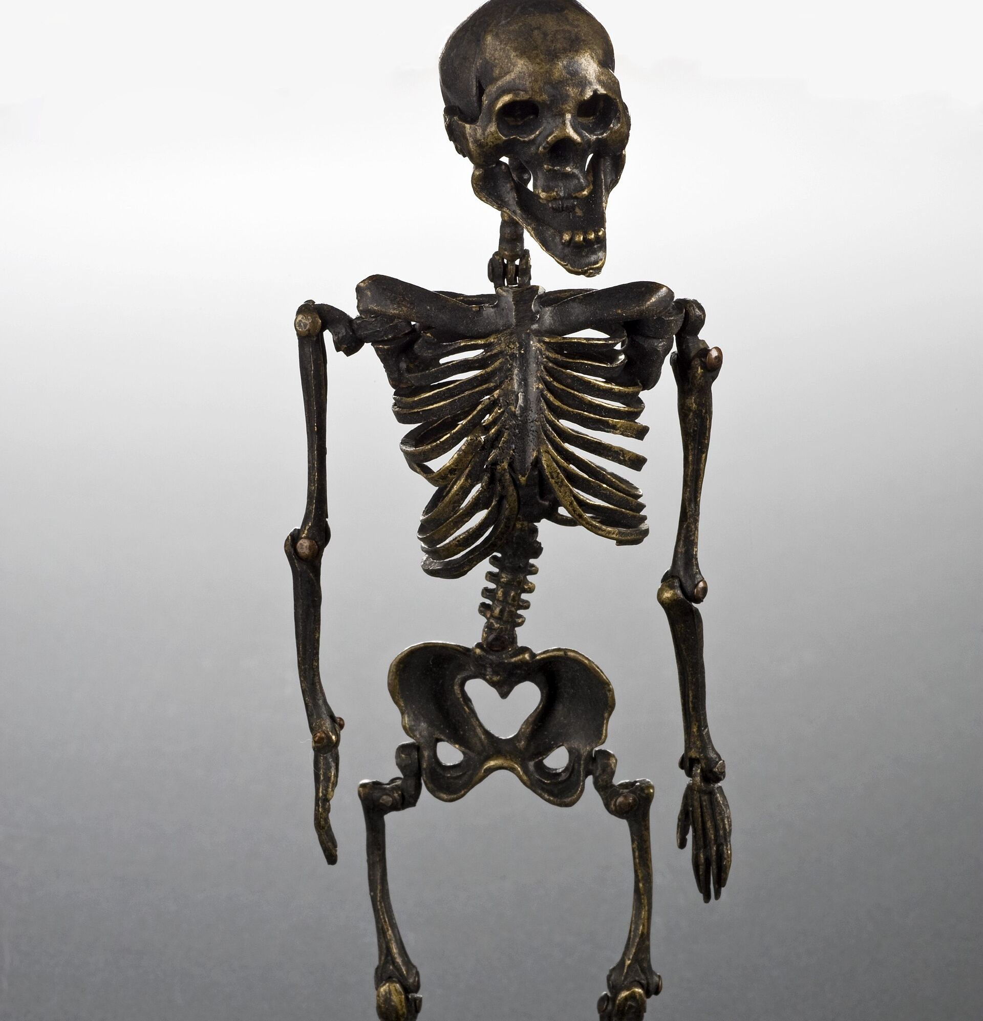 A small bronze model of a human skeleton with joints that move, seen from the skull down to the knees