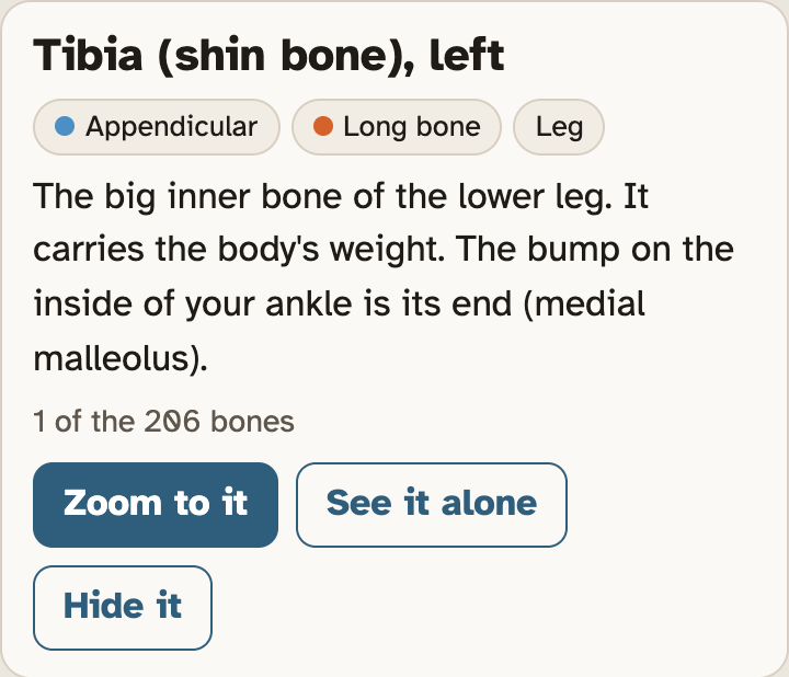 The bone card for the left tibia. Its first tag says Appendicular