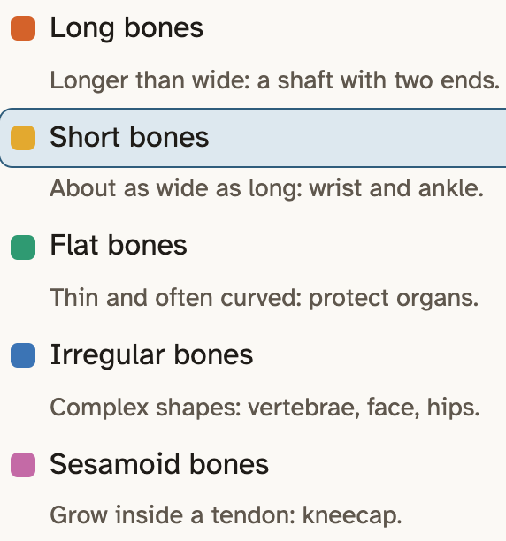 The key in the lab for Shape: Long bones, Short bones, Flat bones, Irregular bones and Sesamoid bones, each with a color and one line that describes it. The Short bones row is picked