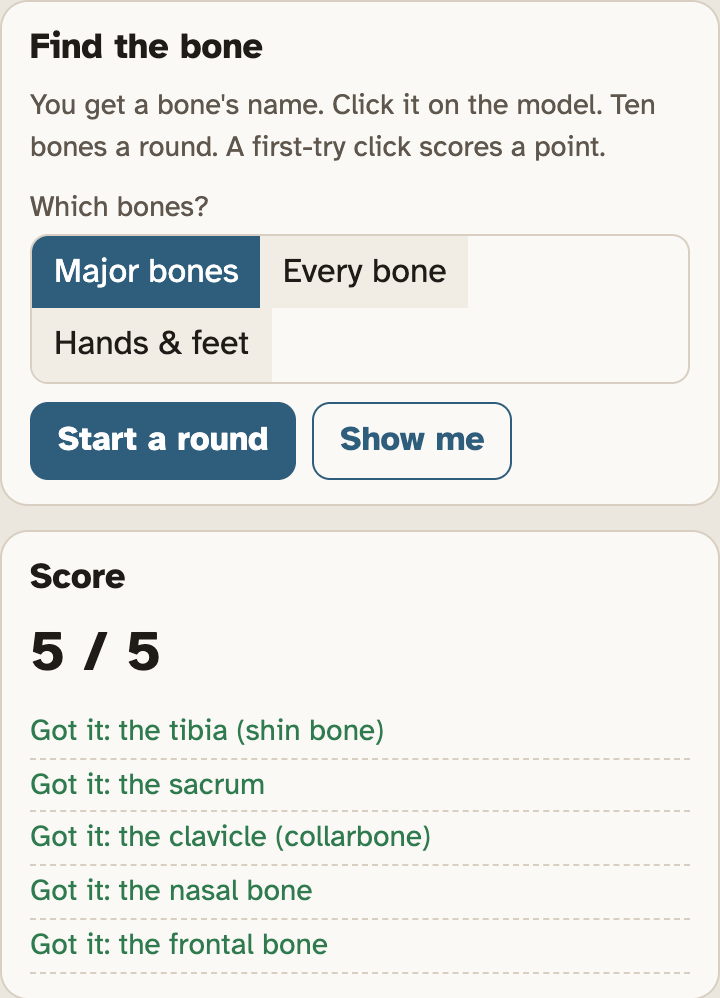 The Find the bone box in the lab with the buttons Major bones, Every bone, Hands and feet, Start a round and Show me, above a Score box that lists each bone found so far