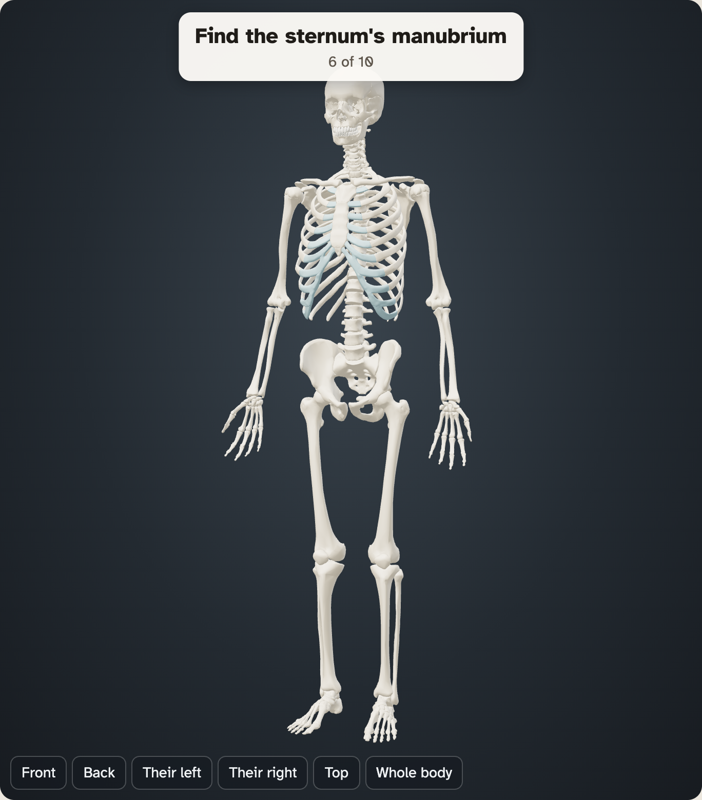 The skeleton in the lab during a round, with a box at the top that reads Find the sternum’s manubrium, 6 of 10