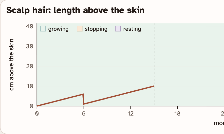 The left part of the lab graph of hair length against months, with a line that climbs, drops at a cut and climbs again