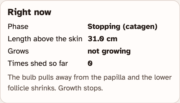 The Right now card in the lab, showing the phase, the length above the skin, how fast the hair grows and how many times it has been shed