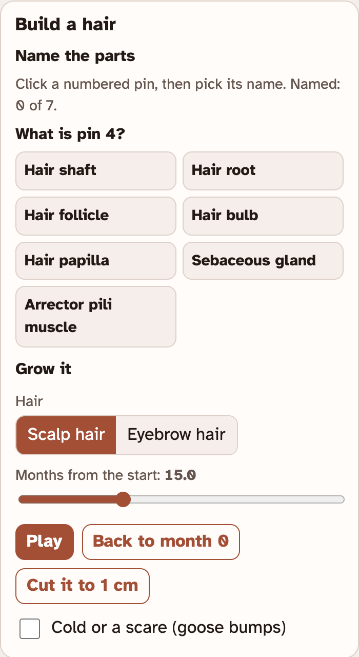 The Build a hair box in the lab, asking What is pin 4 with a list of seven part names, and under it the Grow it controls