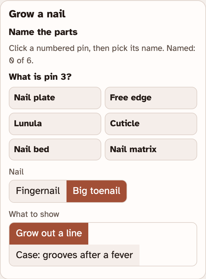 The Grow a nail box in the lab, asking What is pin 3 with a list of six part names, then buttons for Fingernail or Big toenail and for what to show