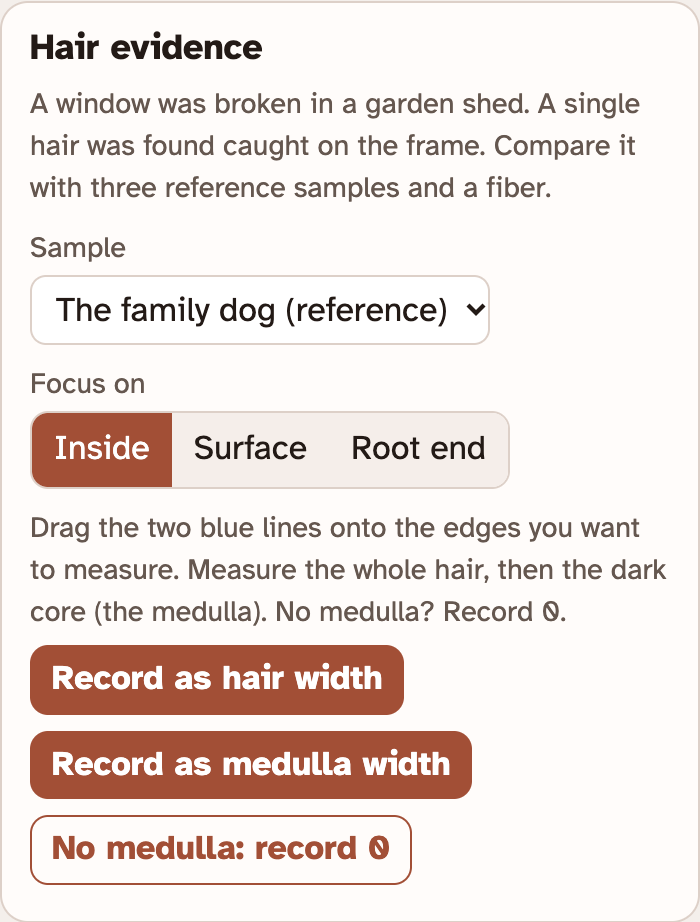 The Hair evidence box in the lab, with a Sample menu, Focus on buttons for Inside, Surface and Root end, and three Record buttons