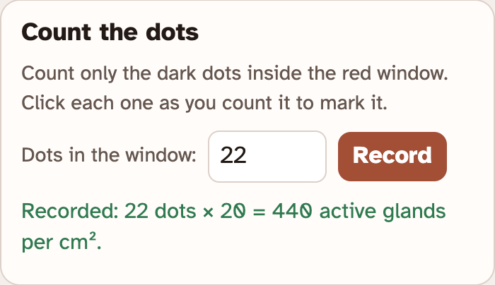 The Count the dots card in the lab, with a box for the number of dots, a Record button and a green line showing the count times 20