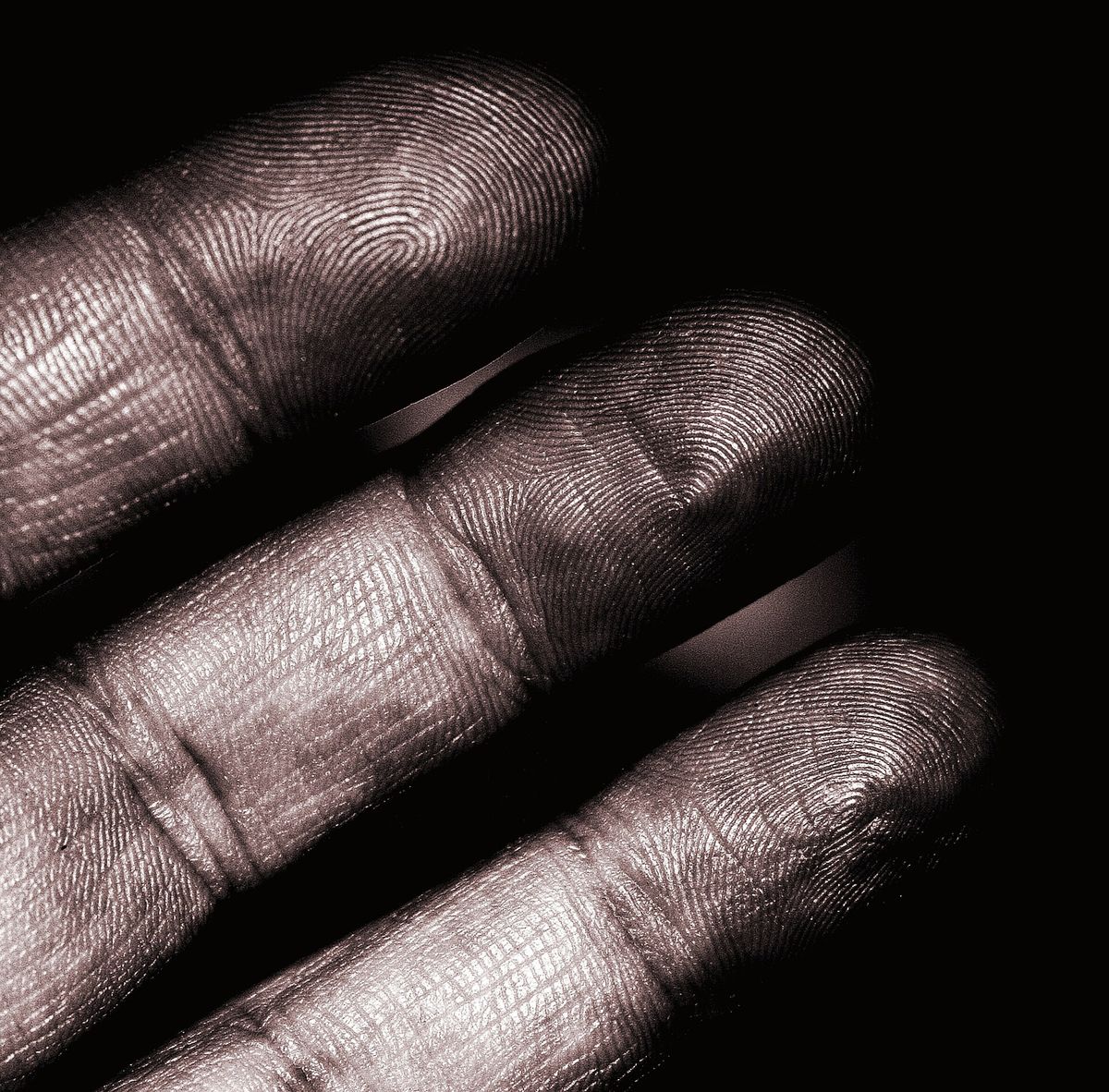 Four fingertips lit from the side so the curved ridges of the fingerprints stand out