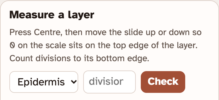 The Measure a layer box in the lab: a menu to pick the layer, a box to type the divisions, and a Check button