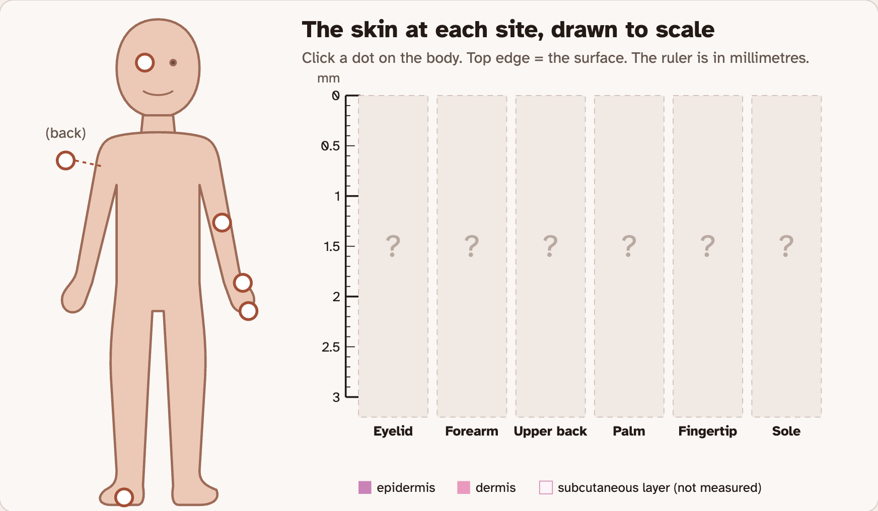 The body map in the lab before any site is clicked: a body with six dots, and six empty columns with question marks for the eyelid, forearm, upper back, palm, fingertip and sole