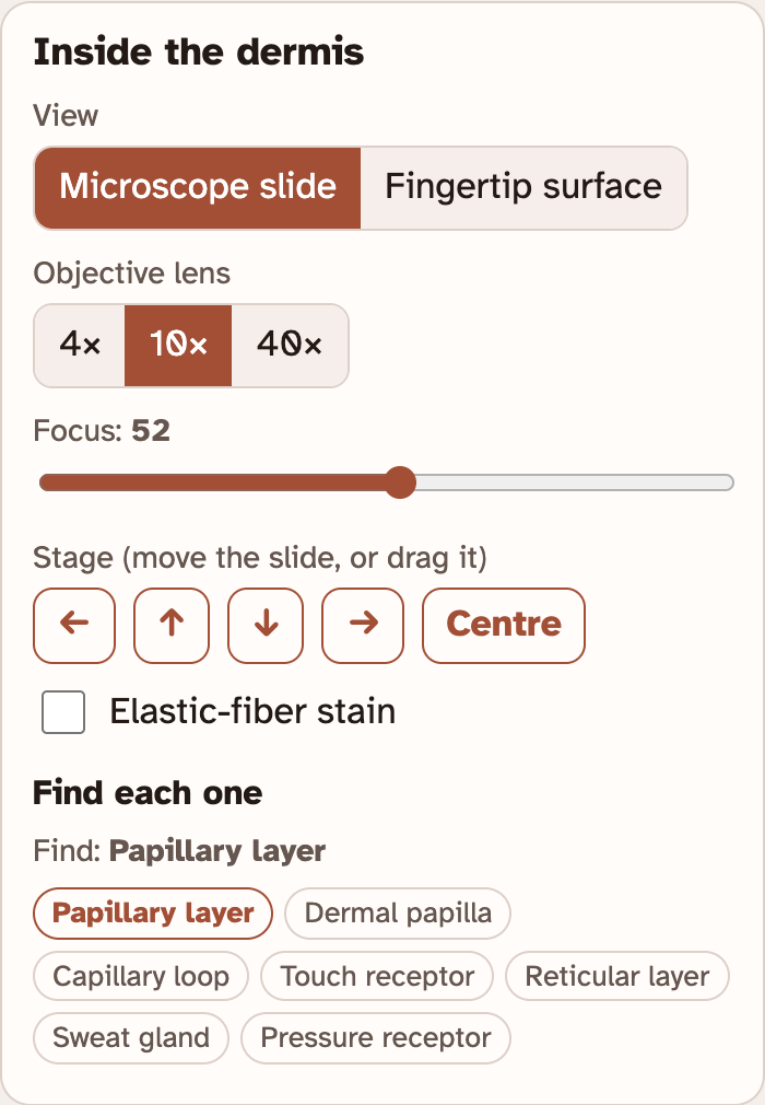 The Inside the dermis box in the lab: buttons for the view and the objective lens, a focus slider, arrow buttons, a tick box for the elastic-fiber stain, and a list of seven structures to find