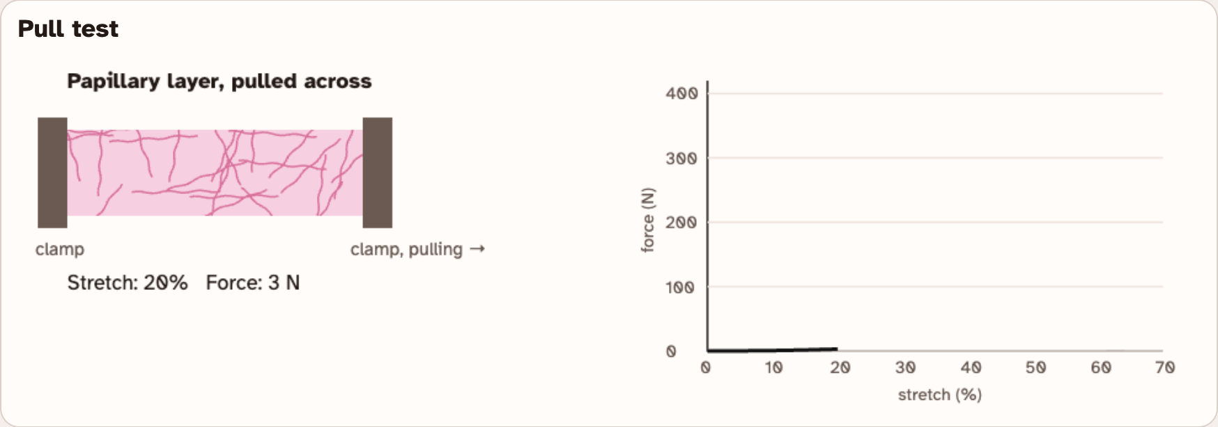 The lab pull test part way through: a strip of tissue stretched between two clamps, beside a graph of force against stretch