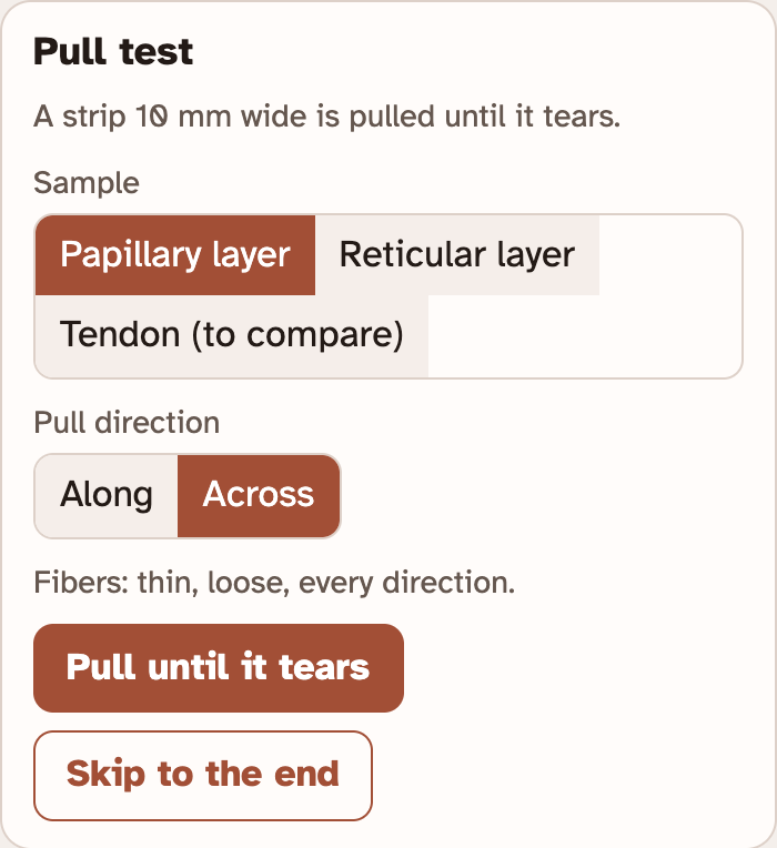 The Pull test box in the lab: buttons for the sample and the pull direction, a line that describes the fibers, and buttons for Pull until it tears and Skip to the end