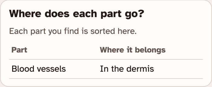 The Where does each part go box in the lab, with one row: Blood vessels, In the dermis
