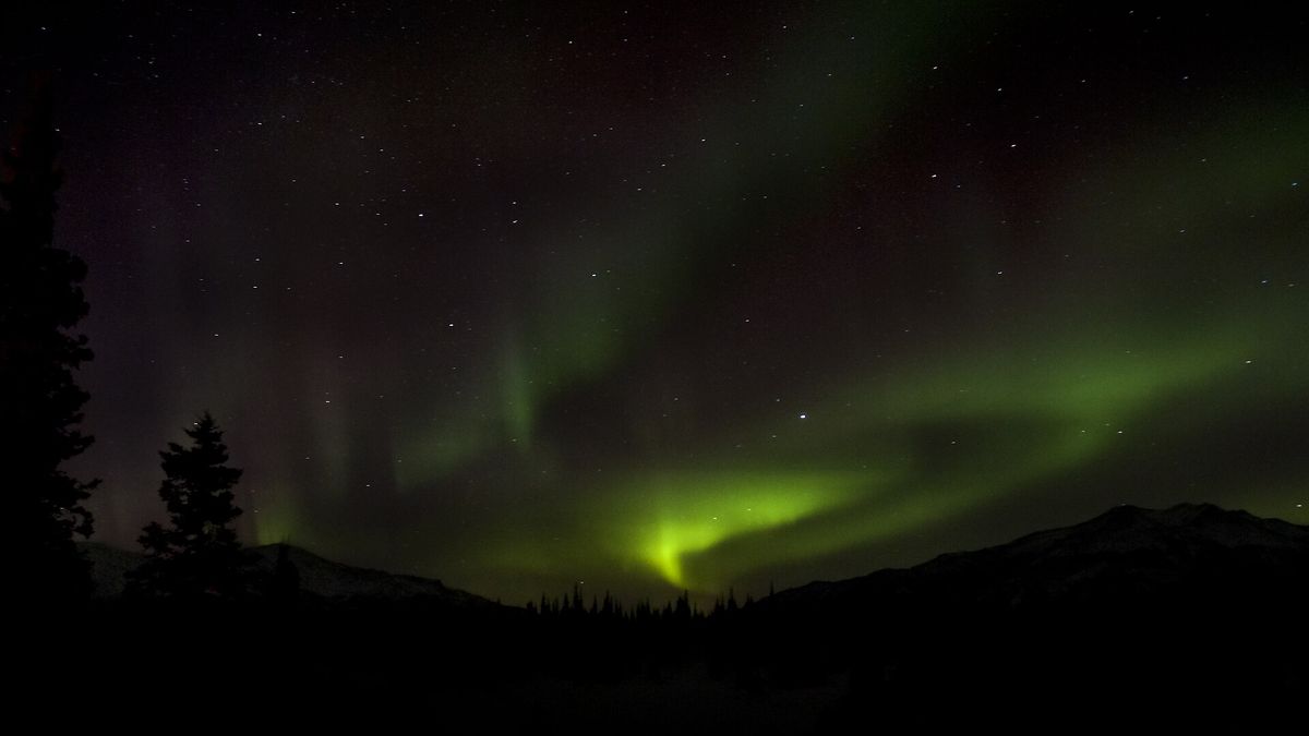Green northern lights glowing in a dark sky over mountains and spruce trees