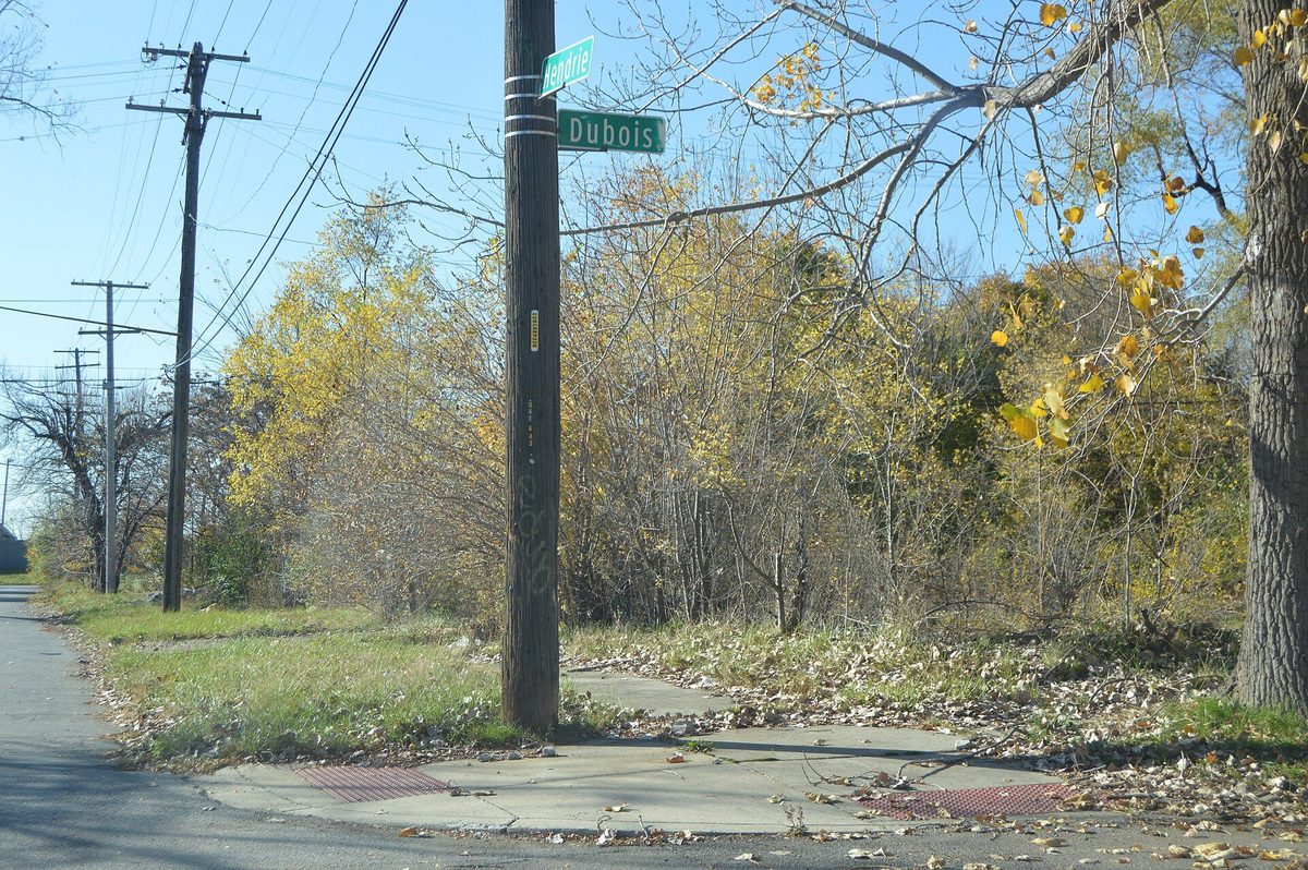 An empty street corner where houses once stood, now grown over with grass and young trees