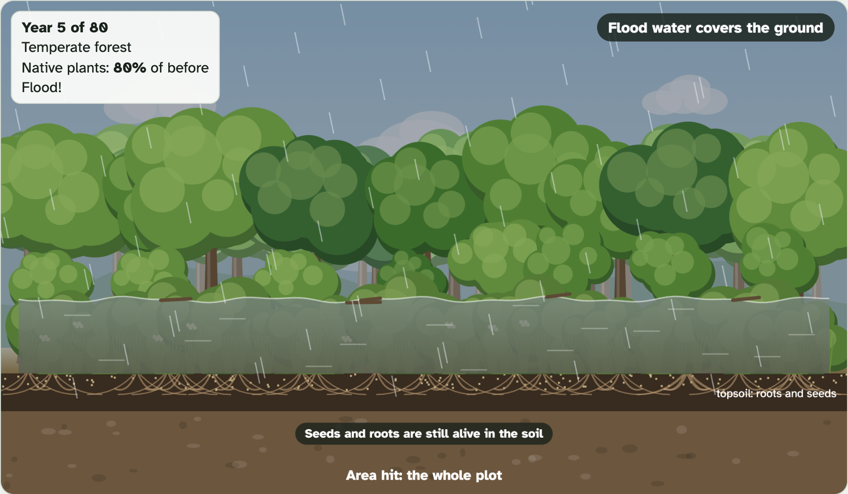 A temperate forest in the lab during a flood, with water covering the ground under the trees